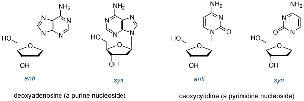 的<em> SYN </ em>的和的<em>抗</ em>的核苷构象结构
