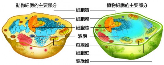 预防性基因检测服务说明