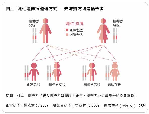 孕前遗传病基因检测可以查哪些项目？